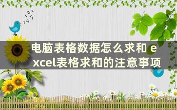 电脑表格数据怎么求和 excel表格求和的注意事项